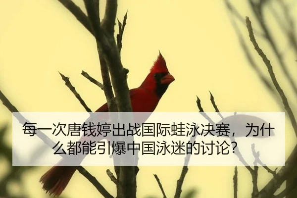 mei-yi-ci-tang-qian-ting-chu-zhan-guo-ji-wa-yong-jue-sai-wei-shen-me-dou-neng-yin-bao-zhong-guo-yong-mi-de-tao-lun-2-430.jpg